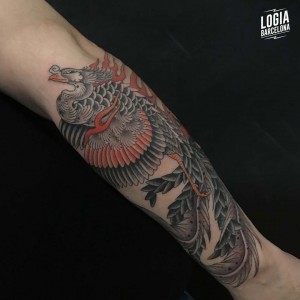 tatuaje_brazos_ave_fenix_logiabarcelona_laia_desole